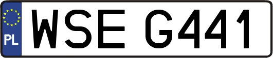 WSEG441