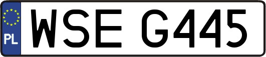 WSEG445
