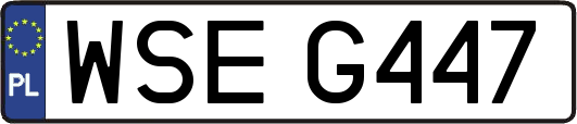 WSEG447