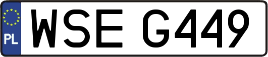 WSEG449