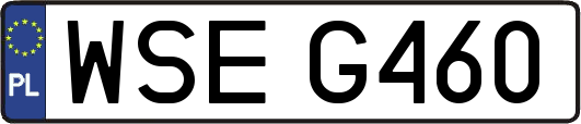 WSEG460