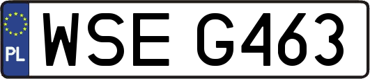 WSEG463