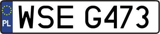 WSEG473