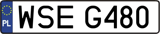 WSEG480