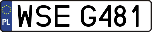 WSEG481