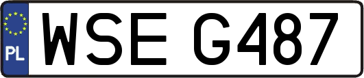 WSEG487
