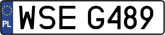 WSEG489