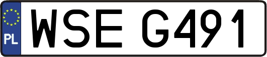 WSEG491
