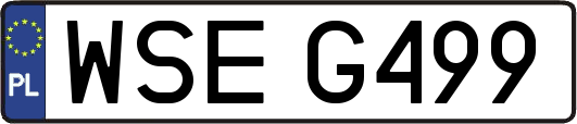WSEG499