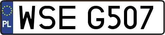 WSEG507
