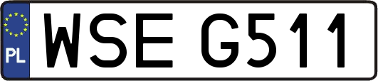 WSEG511