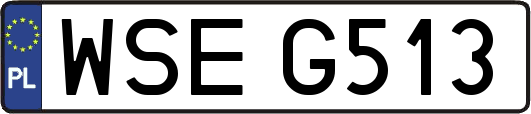 WSEG513