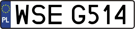 WSEG514