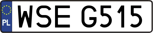 WSEG515