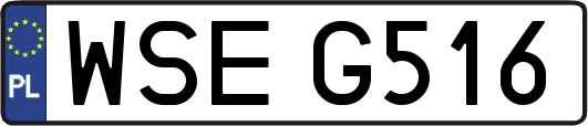 WSEG516
