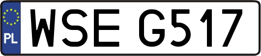 WSEG517