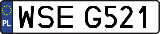 WSEG521