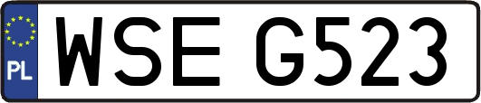 WSEG523