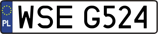 WSEG524