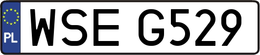WSEG529