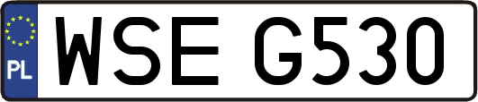 WSEG530