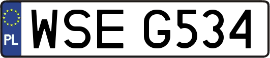 WSEG534