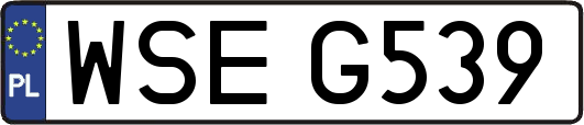 WSEG539