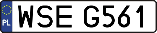 WSEG561