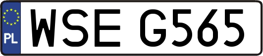 WSEG565