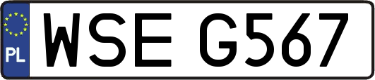 WSEG567