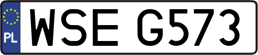 WSEG573