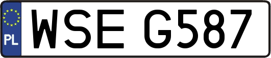 WSEG587