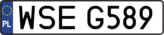 WSEG589