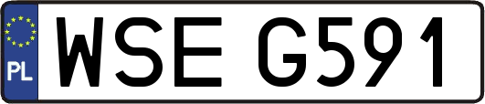 WSEG591