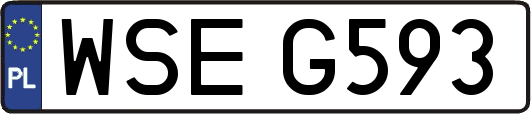 WSEG593