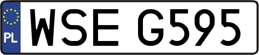 WSEG595