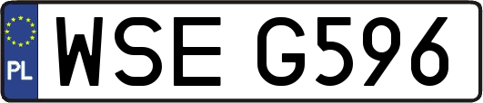 WSEG596