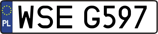 WSEG597