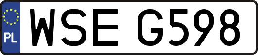 WSEG598