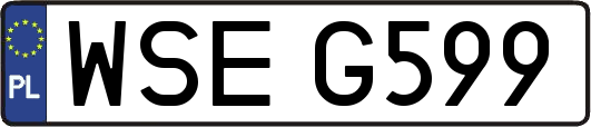 WSEG599