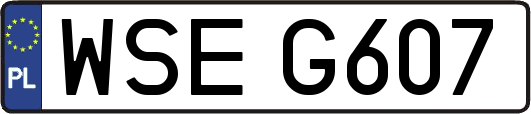 WSEG607