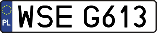 WSEG613