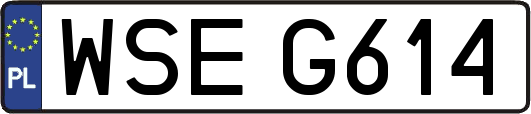 WSEG614