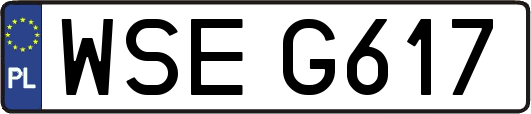 WSEG617