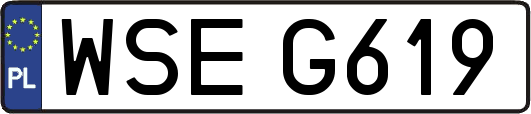 WSEG619