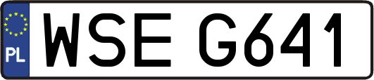 WSEG641