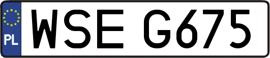 WSEG675