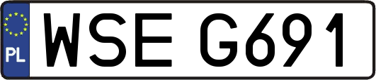 WSEG691