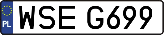 WSEG699