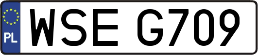 WSEG709